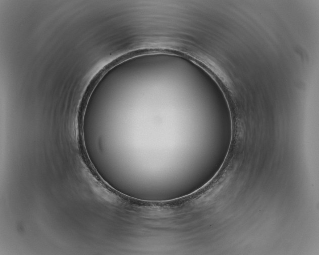 X0000111830980200907231313