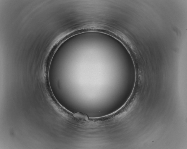 X0000111830981200907231313