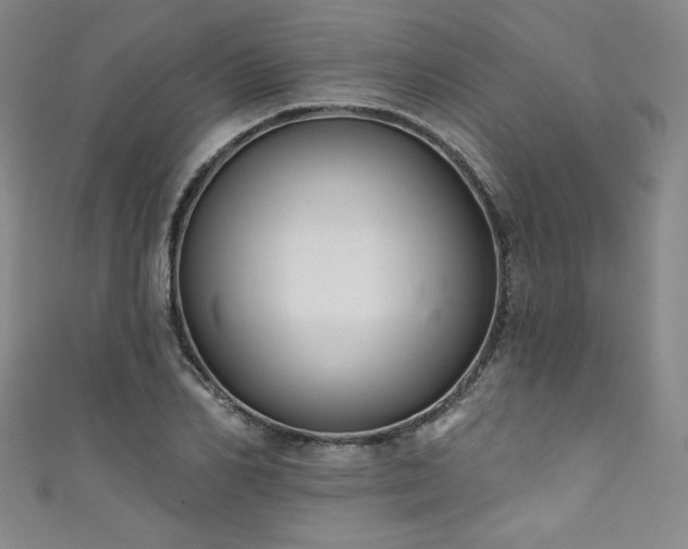 X0000111830982200907231313