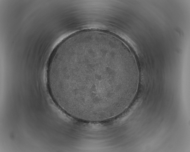 X0000111830983200907231313