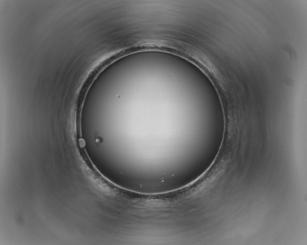 X0000111830984200907231313