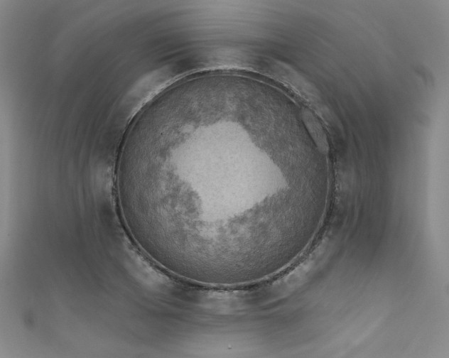 X0000111830985200907231313