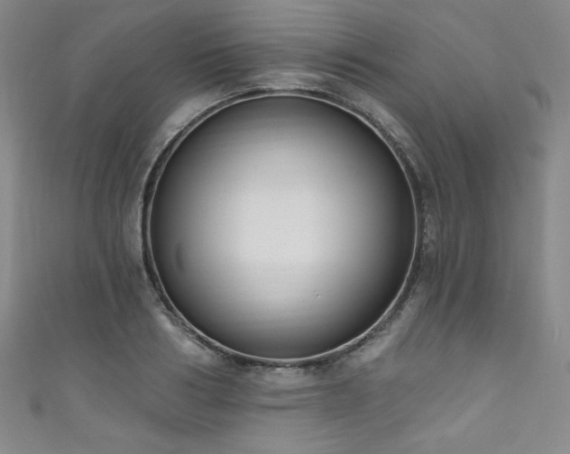X0000111830986200907231313
