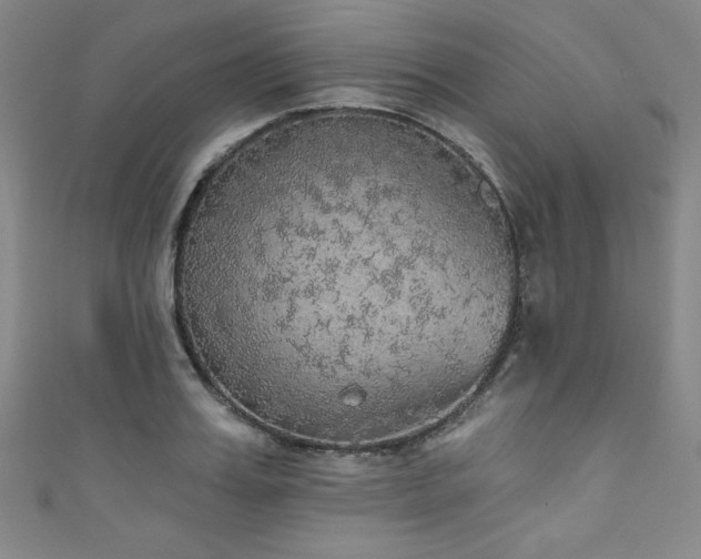 X0000111830987200907231313