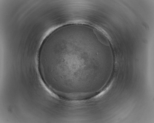 X0000111830989200907231313