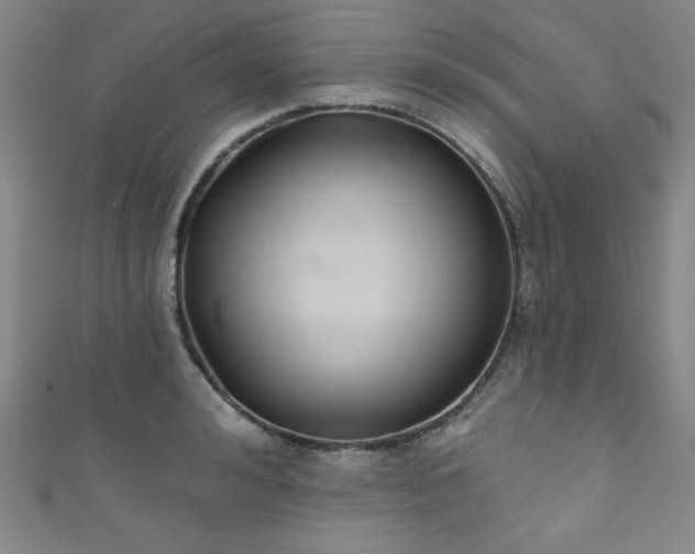 X0000111830992200907231313