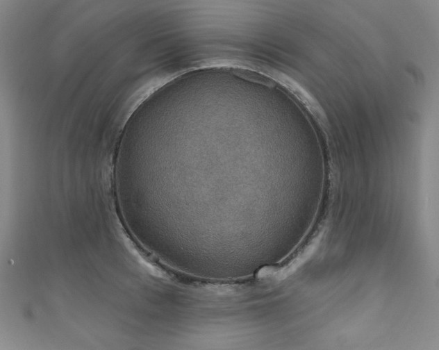 X0000111830993200907231313