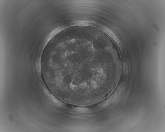 X0000111830994200907231313