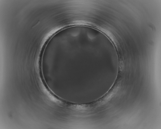 X0000111830995200907231313