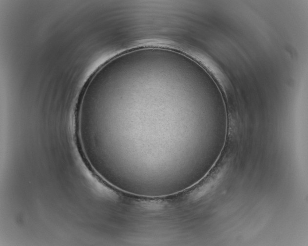 X0000111830999200907231313