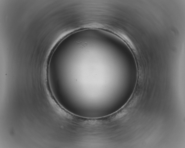 X0000111831000200907231313
