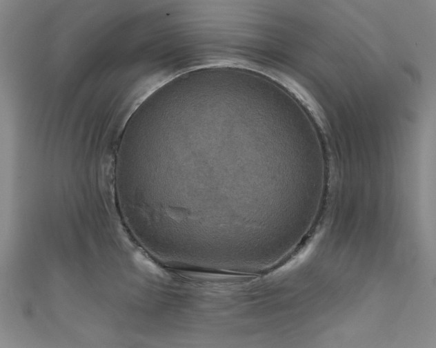 X0000111831001200907231313