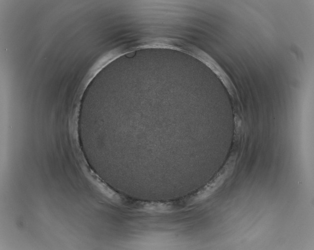 X0000111831002200907231313