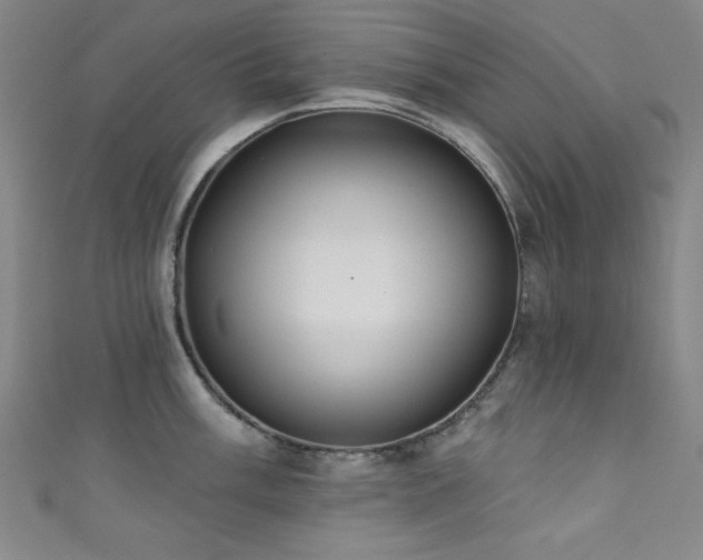X0000111831003200907231313