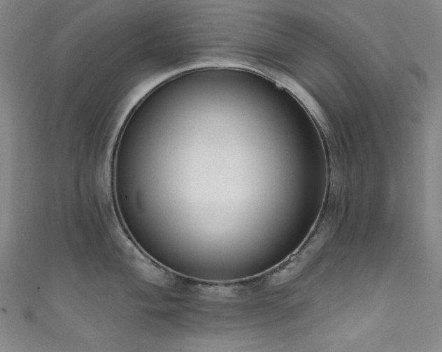 X0000111831004200907231313