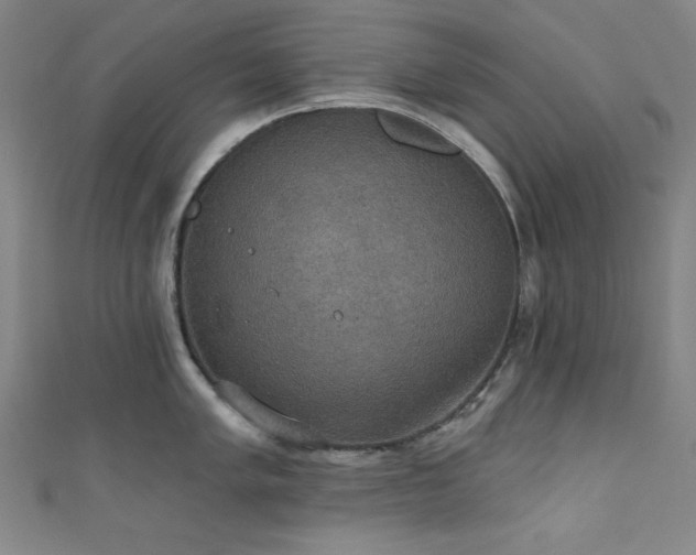 X0000111831005200907231313
