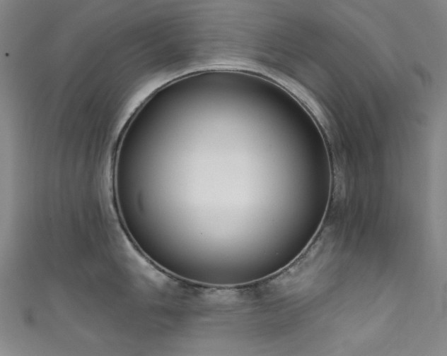 X0000111831006200907231313