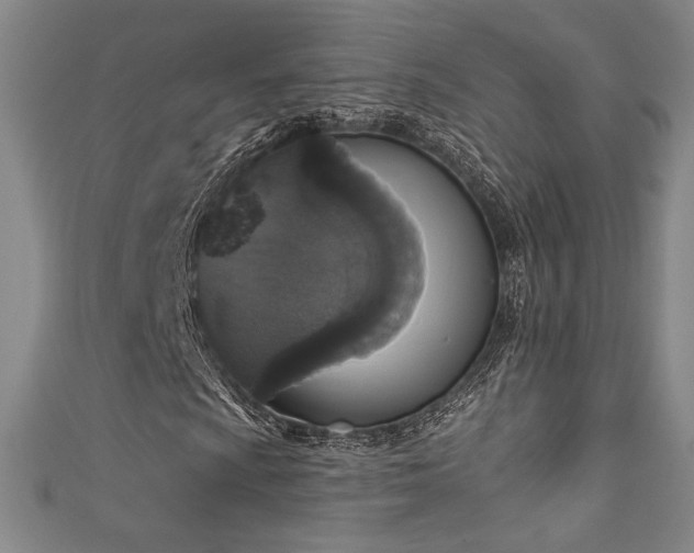 X0000111831009200907231312