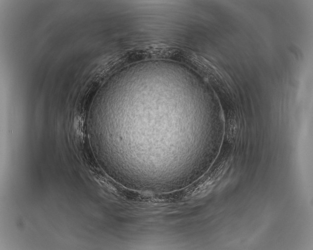 X0000111831010200907231312