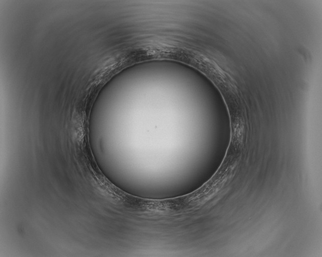 X0000111831012200907231312