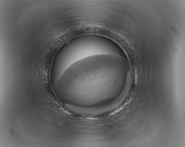 X0000111831013200907231312