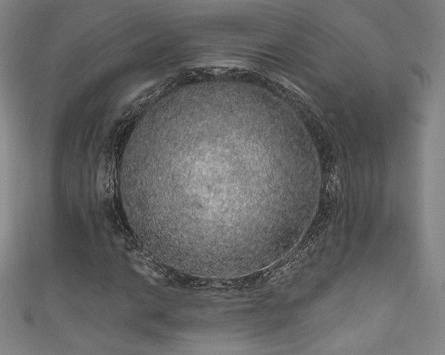 X0000111831014200907231312