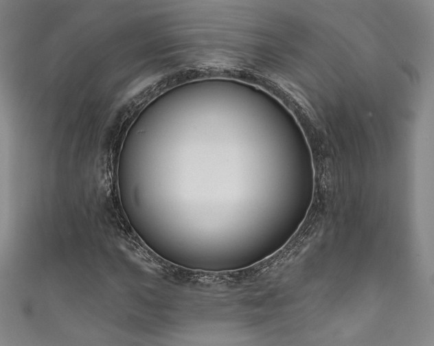X0000111831015200907231312