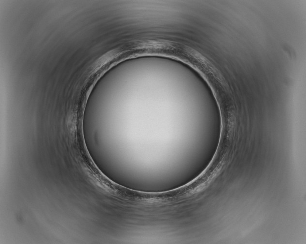 X0000111831017200907231312