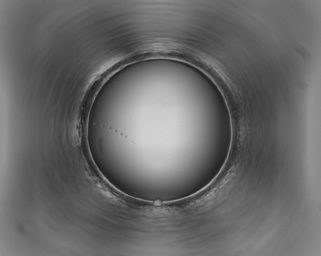 X0000111831018200907231312