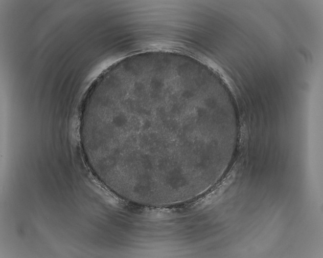 X0000111831019200907231312