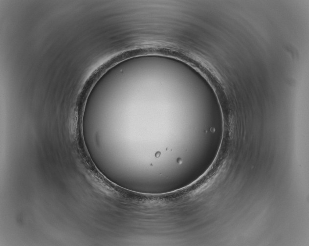 X0000111831021200907231312