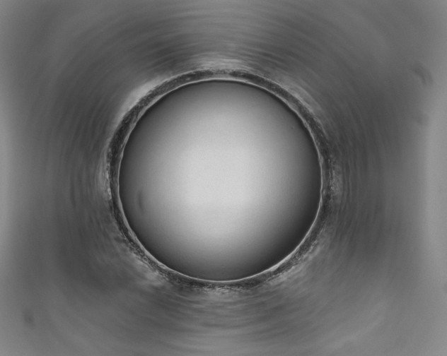 X0000111831022200907231312