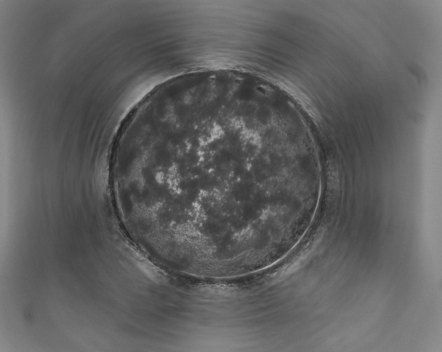 X0000111831023200907231312