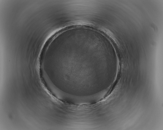 X0000111831024200907231313