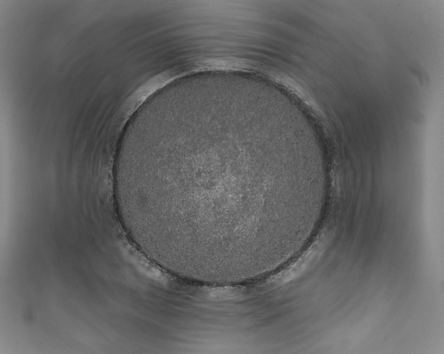X0000111831025200907231313