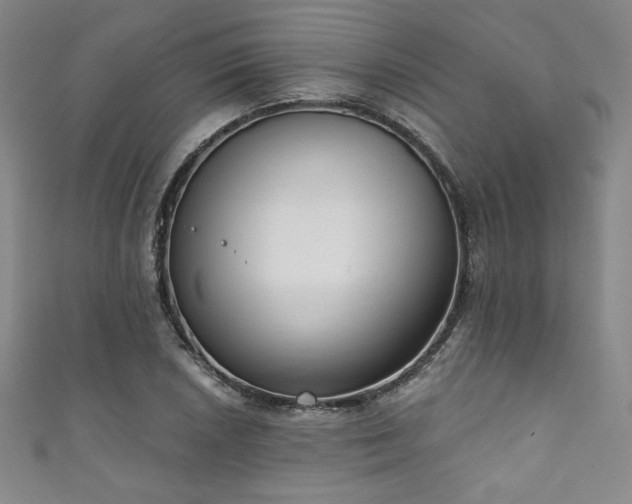 X0000111831026200907231313