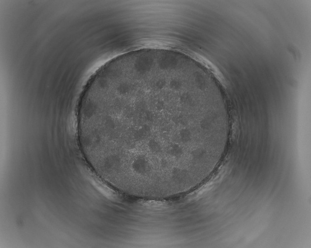 X0000111831027200907231313