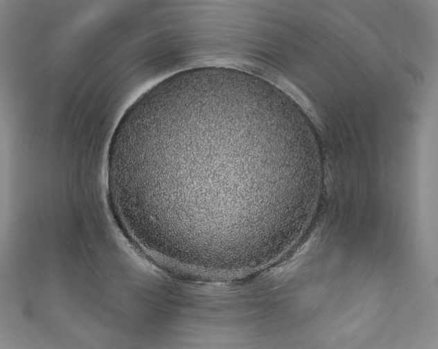 X0000111831028200907231313