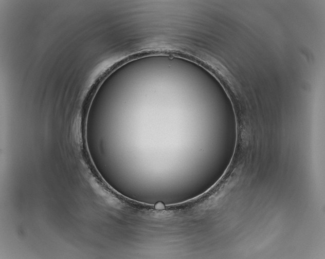 X0000111831030200907231313