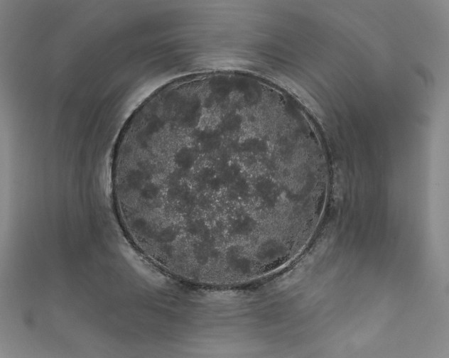 X0000111831031200907231313