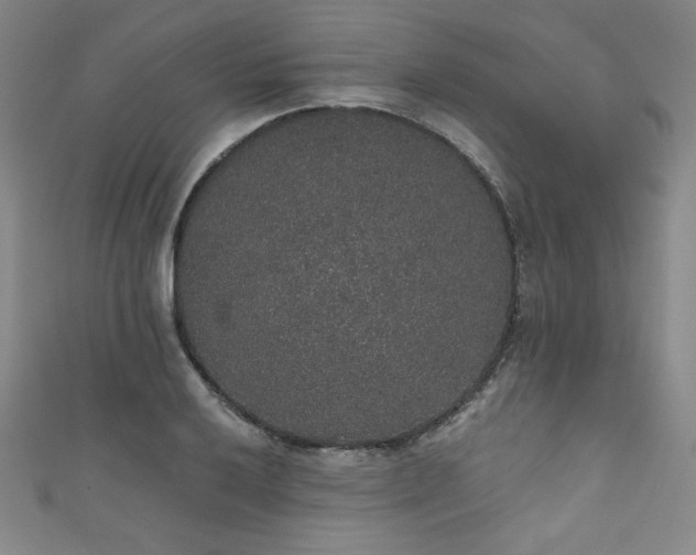 X0000111831032200907231313
