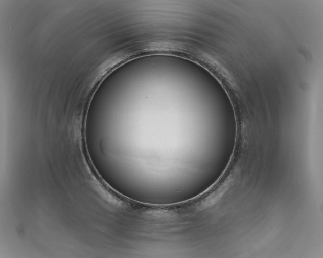 X0000111831033200907231313