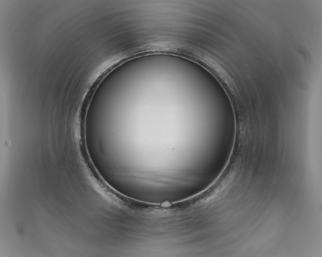 X0000111831034200907231313