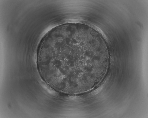 X0000111831035200907231313