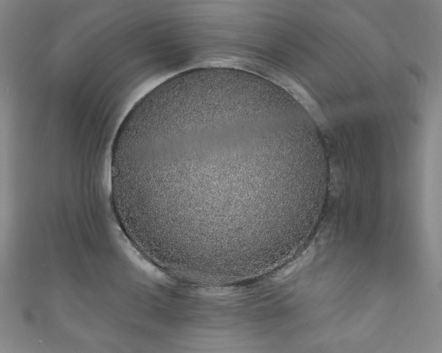 X0000111831036200907231313