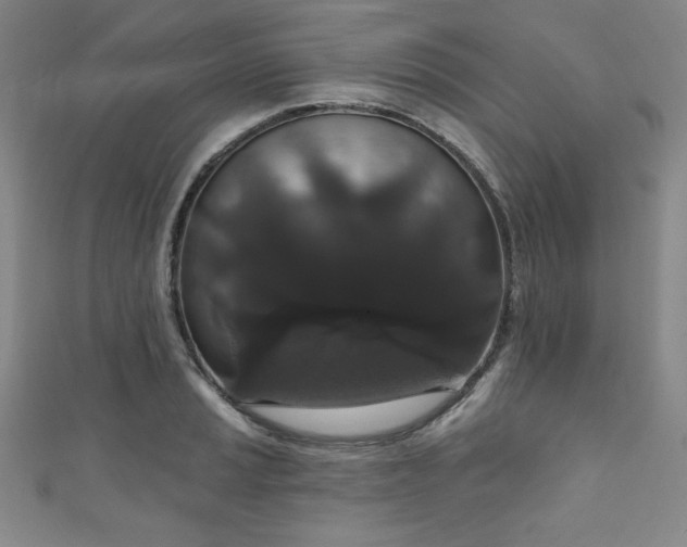 X0000111831037200907231313
