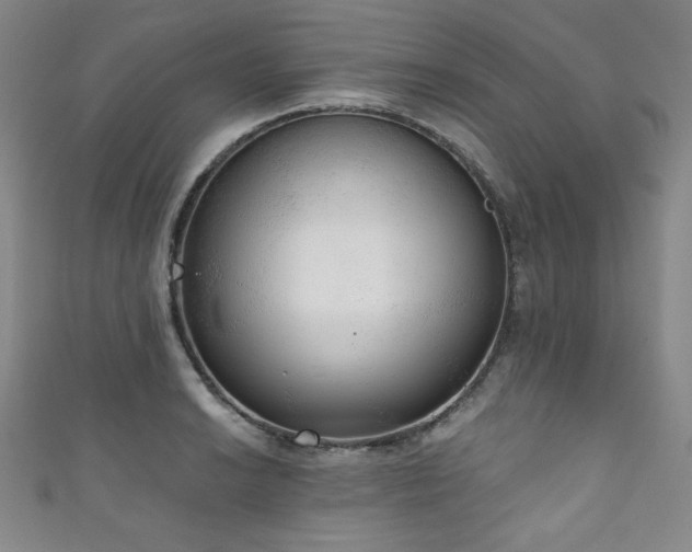 X0000111831038200907231313