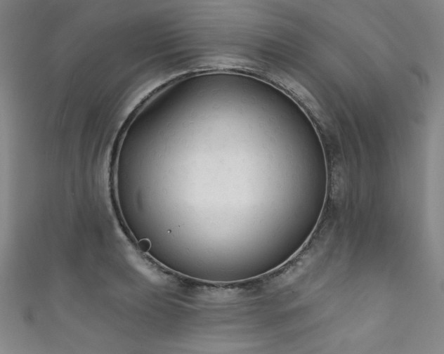 X0000111831039200907231313
