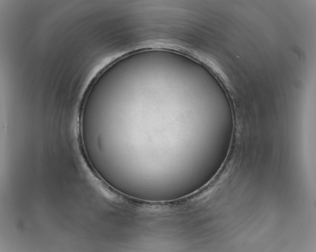 X0000111831040200907231313