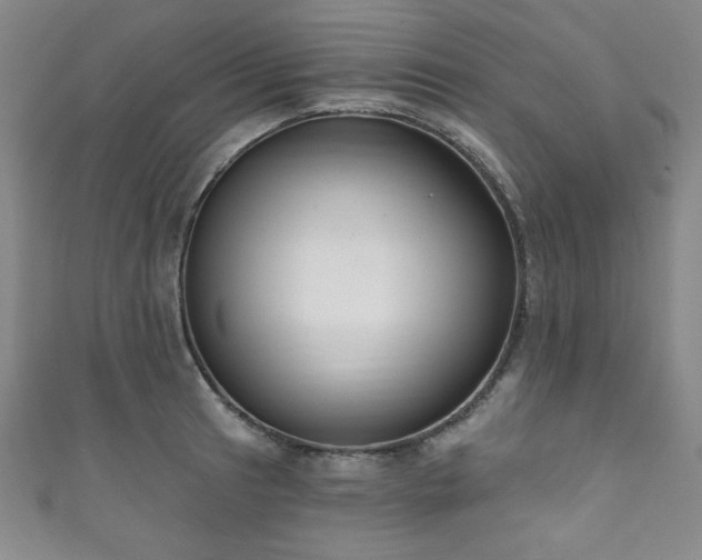X0000111831041200907231313